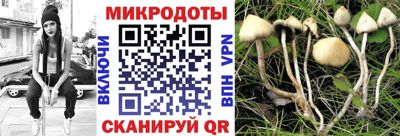 KRAKEN рабочий сайт  купить наркоту  Мценск  Галлюциногенные грибы Magic Shrooms 